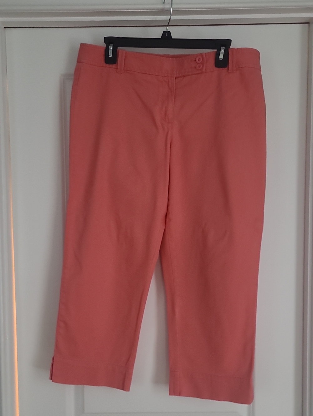 Loft Capri Pants Size 10
